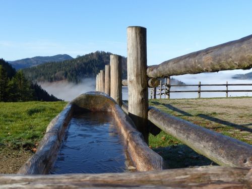 Ein hölzernes Wassertrog ist von einem Holzzaun umgeben. Hinter dem Zaun befindet sich ein grasbewachsenes Feld mit Nebel und Bergen in der Ferne.