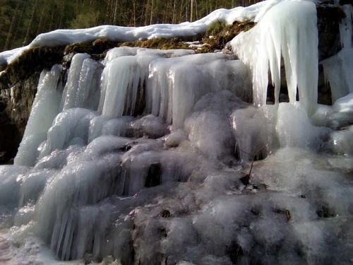 Ein eisiger Wasserfall stürzt an einem felsigen Felsvorsprung herab, mit Eiszapfen, die von oben hängen. Im Hintergrund sind schneebedeckte Felsen und Grünpflanzen sichtbar.