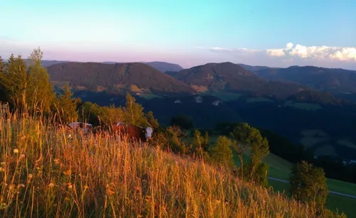 Ein Blick auf eine bergige Landschaft mit zwei Kühen, die im Vordergrund unter einem blauen Himmel grasen.