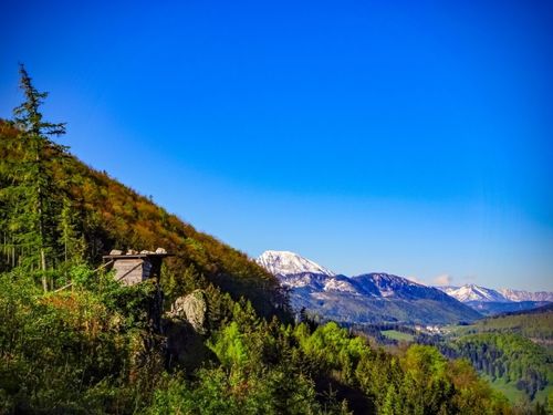 Eine landschaftliche Aussicht auf einen üppig grünen Berghang mit einer kleinen Holzstruktur. In der Ferne schneebedeckte Berge unter einem klaren blauen Himmel.