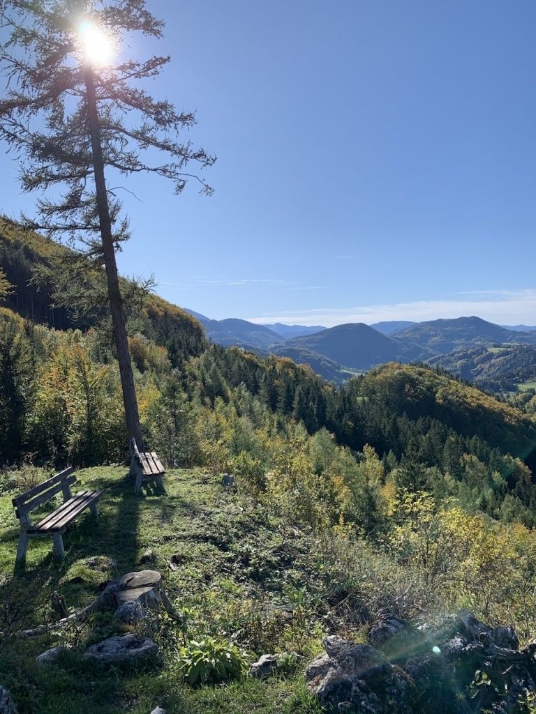 Ein malerischer Blick auf einen Hang mit zwei Holzbänken unter einem Baum, umgeben von üppigem Grün. Der Himmel ist blau mit einigen Wolken, und Berge sind in der Ferne.