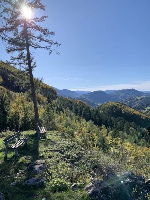 Ein malerischer Blick auf einen Hang mit zwei Holzbänken unter einem Baum, umgeben von üppigem Grün. Der Himmel ist blau mit einigen Wolken, und Berge sind in der Ferne.