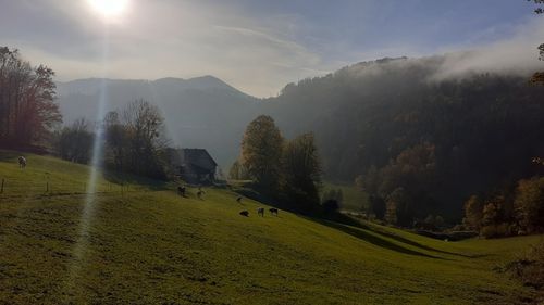 Eine ruhige ländliche Landschaft mit grasenden Pferden, einem Haus und Bergen unter einem klaren Himmel.
