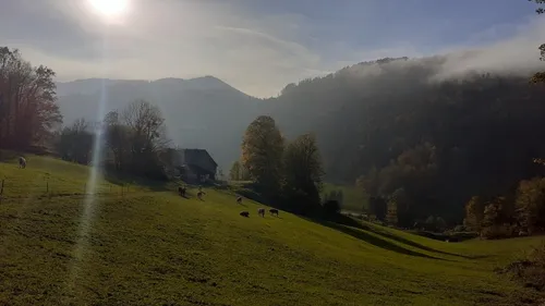 Eine ruhige ländliche Landschaft mit grasenden Pferden, einem Haus und Bergen unter einem klaren Himmel.