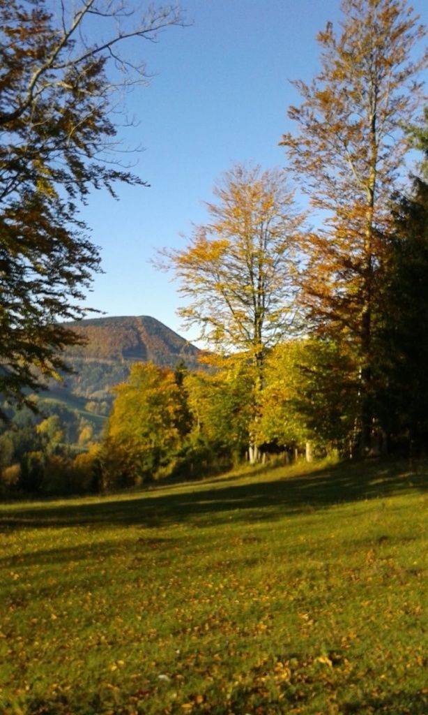 Ein Hügel mit üppigem Laub und Gras unter einem klaren blauen Himmel, mit einem entfernten Gebirgszug.