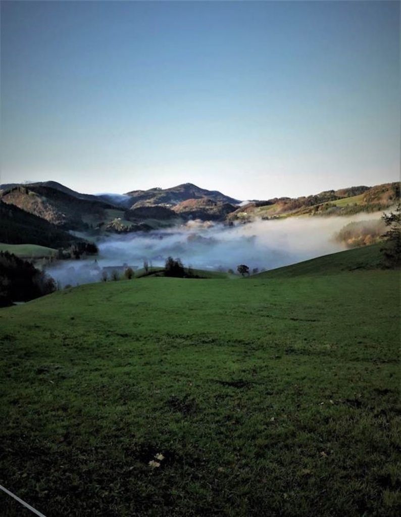 Eine friedliche Landschaft mit einem weitläufigen grünen Feld unter einem klaren Himmel, mit Bergen und einer dünnen Nebelschicht in der Ferne.