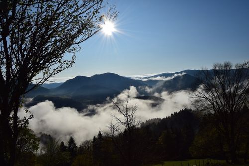 Eine Bergkette mit einer strahlenden Sonne am Himmel. Die Sonne wirft einen goldenen Glanz über die Landschaft. Die Berge sind in Nebel gehüllt, und die Bäume sind im Vordergrund.