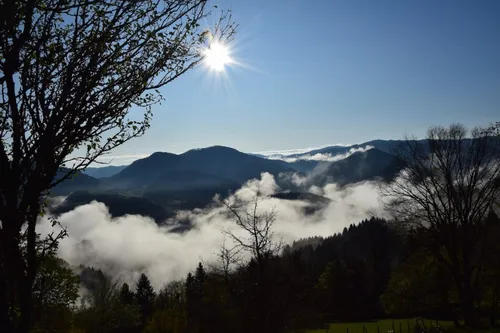 Eine Bergkette mit einer strahlenden Sonne am Himmel. Die Sonne wirft einen goldenen Glanz über die Landschaft. Die Berge sind in Nebel gehüllt, und die Bäume sind im Vordergrund.