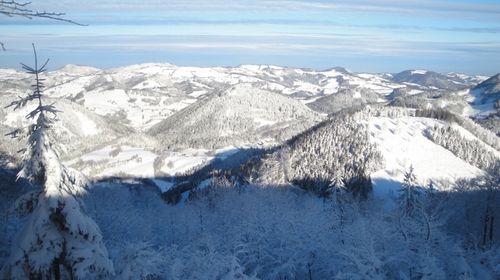 Eine winterliche Berglandschaft mit schneebedecktem Boden und Bäumen, unter einem klaren blauen Himmel.