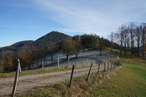 Eine ländliche Landschaft mit einem Berg, Bäumen und einem Feldweg. Der Berg ist schneebedeckt und die Bäume haben eine Mischung aus grünen und gelben Blättern. Der Himmel ist klar mit einigen Wolken.