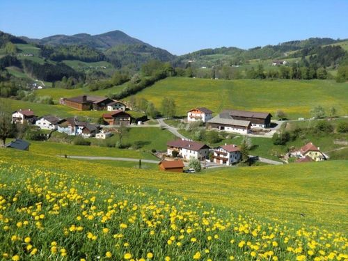 Ein grünes Tal mit vielen Häusern und Löwenzahn, umgeben von Bergen. Der Himmel ist klar und blau.