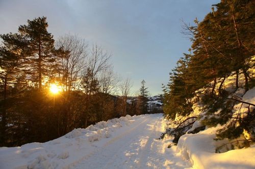 Ein verschneiter Pfad durch einen Wald mit Kiefern und Bergen im Hintergrund, während die Sonne untergeht.