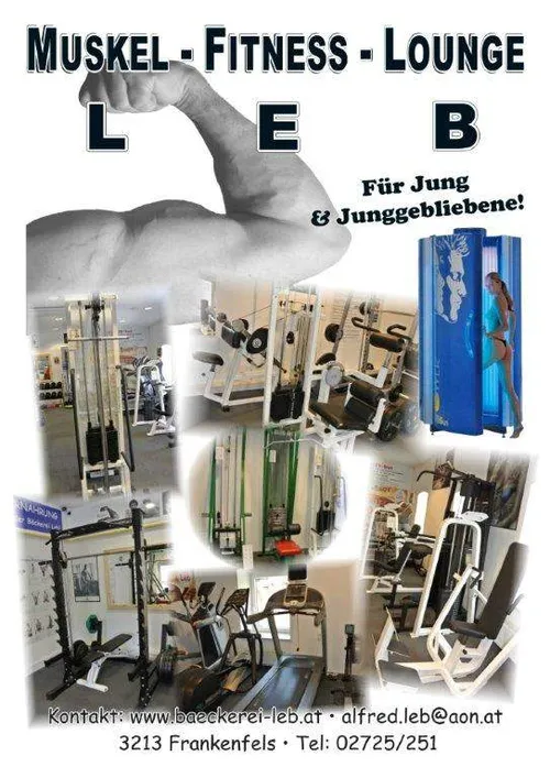 Ein Fitnessstudio-Werbeplakat mit einer Collage von Fitnessgeräten und einer Frau, die eine Sonnenbank benutzt. Das Fitnessstudio bietet Muskel-, Fitness- und Lounge-Dienstleistungen für Jung und Junggebliebene. Kontaktinformationen und Telefonnummer sind angegeben.