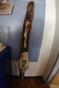 Bild enthält, Wood, Driftwood, Animal, Cat, Mammal, Pet, Sword, Weapon