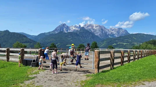 Eine Gruppe von Kindern und Erwachsenen interagiert mit einem kleinen Pferd in einem eingezäunten Bereich, mit einer Kulisse aus verschneiten Bergen.