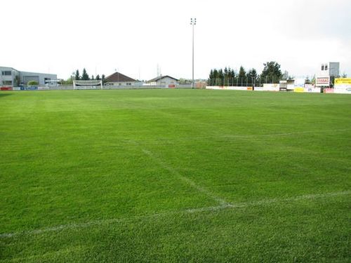 Ein leeres Fußballfeld mit weißen Linien und einem Tor am Ende, umgeben von einem Zaun und Gebäuden im Hintergrund.