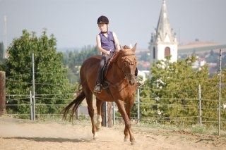 Ein junger Reiter mit Helm reitet ein braunes Pferd auf einem Pfad, mit Zaun und Bäumen im Hintergrund.
