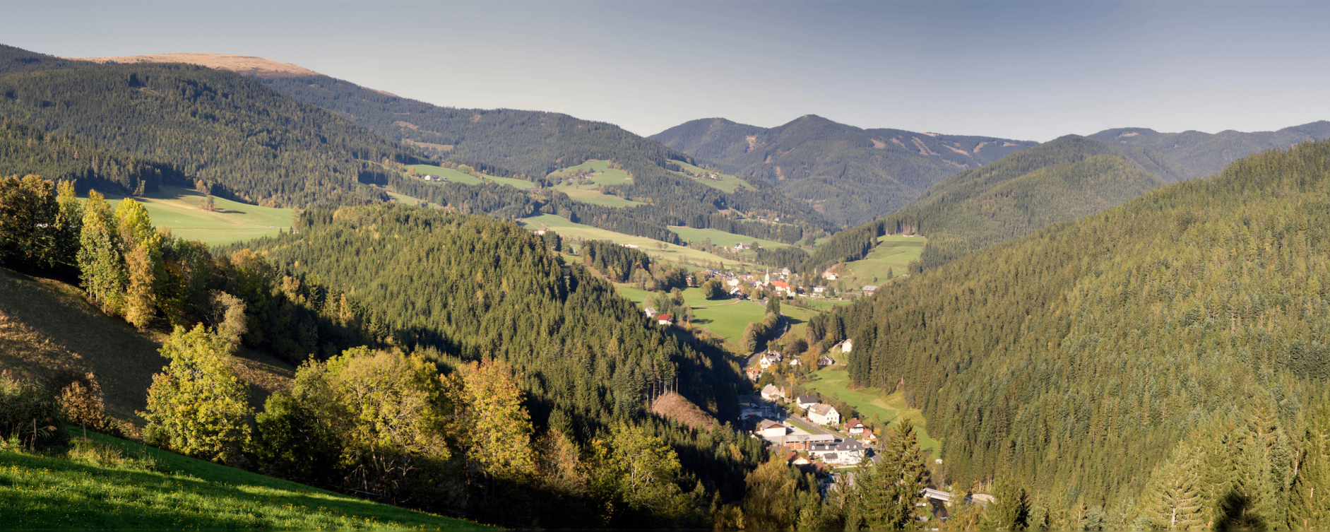 Bild enthält, Tree, Fir, Mountain, Nature, Outdoors, Wilderness, Scenery, Slope, Valley, Mountain Range
