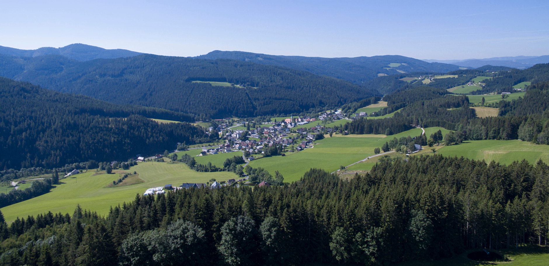 Bild enthält, Tree, Fir, Outdoors, Nature, Scenery, Grass, Mountain, Mountain Range, Wilderness, Slope