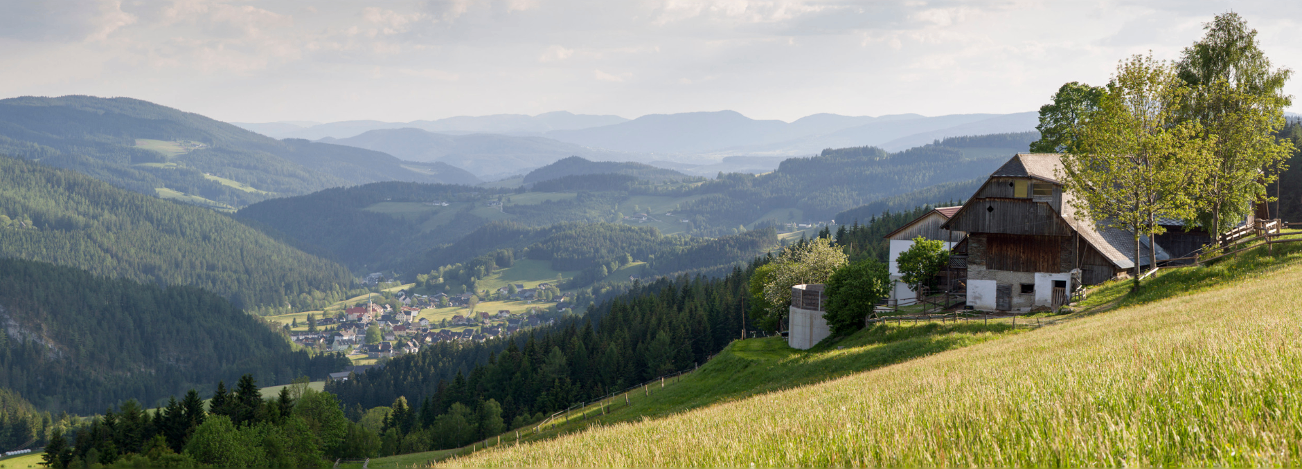 Bild enthält, Fir, Tree, Nature, Outdoors, Scenery, Countryside, Hut, Rural, Slope, Landscape