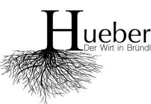 Plant, Root