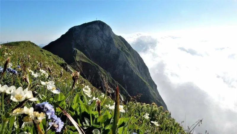Mountain, Mountain Range, Nature, Outdoors, Peak, Anemone, Scenery, Wilderness, Landscape, Vegetation