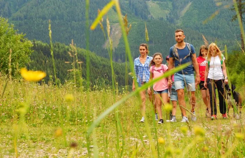 Walking, Grass, Hiking, Vegetation, Tree, Shorts, Summer, Grassland, Photography, Portrait