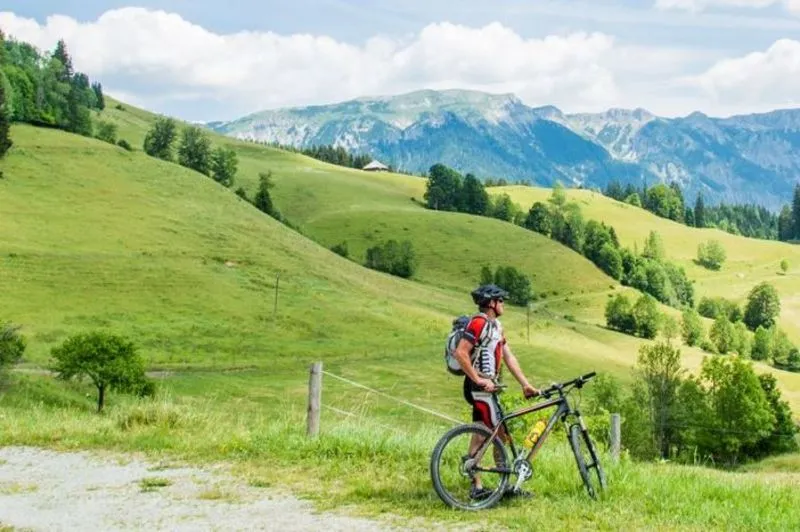 Helmet, Boy, Male, Person, Teen, Bicycle, Vehicle, Cycling, Backpack, Shoe