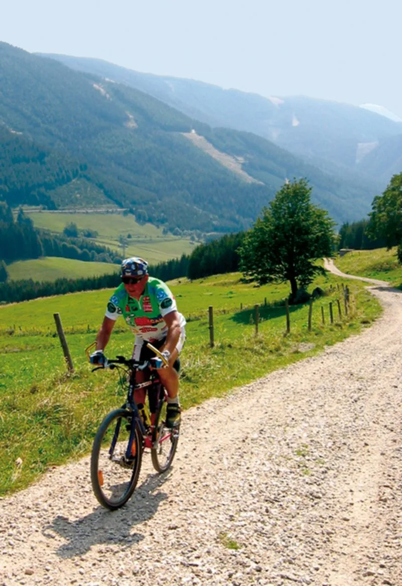 Path, Outdoors, Trail, Bicycle, Vegetation, Person, Wheel, Helmet, Tree, Slope