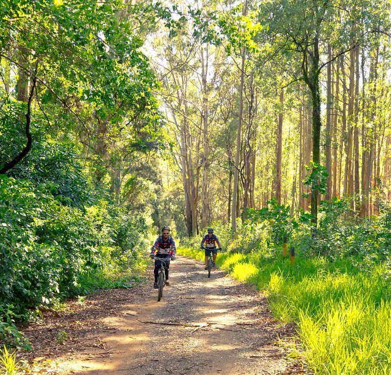 Bild enthält, Path, Nature, Outdoors, Trail, Person, Bicycle, Cycling, Vehicle, Vegetation, Woodland