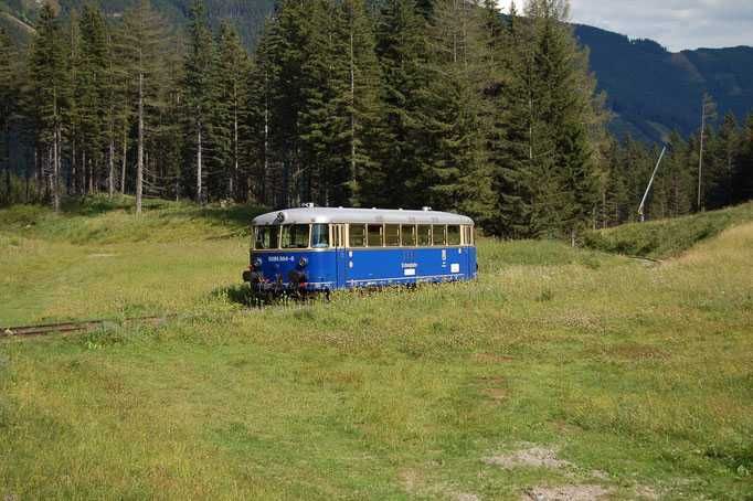 Bild enthält, Bus, Vehicle, Railway, Train, Tree, Outdoors, Scenery