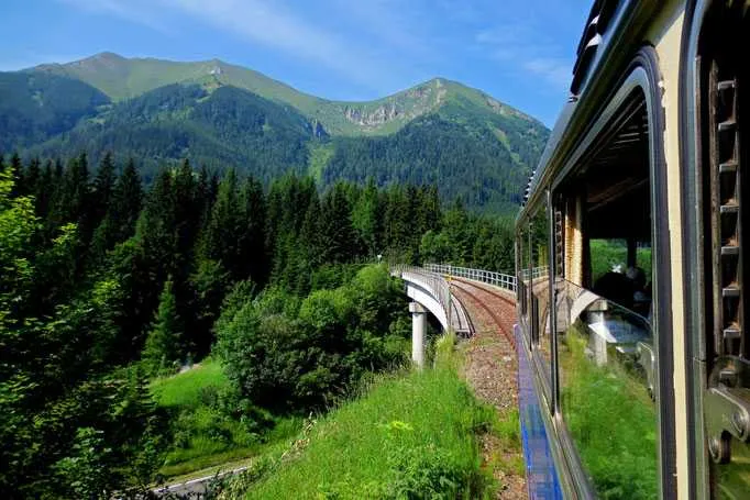 Nature, Outdoors, Scenery, Tree, Vegetation, Woodland, Railway, Train, Vehicle, Road