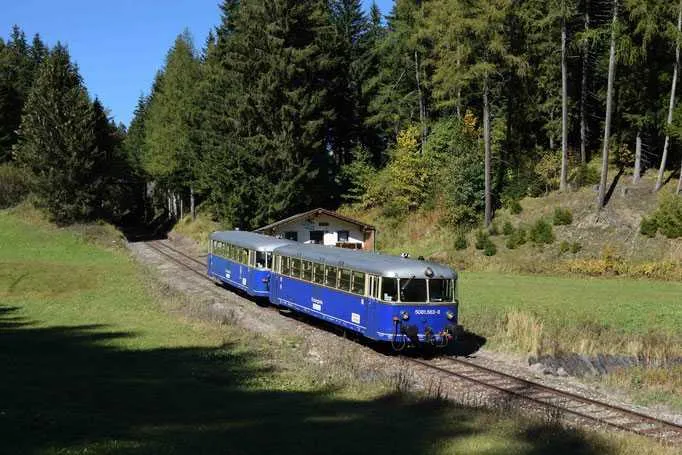 Tree, Railway, Train, Vehicle, Vegetation, Scenery