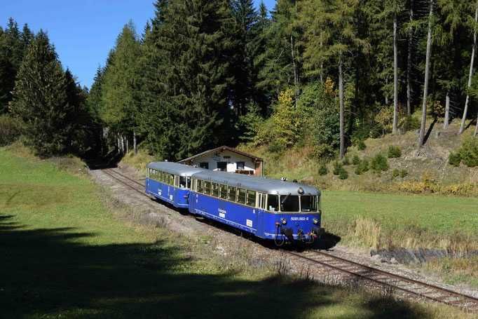 Bild enthält, Tree, Railway, Train, Vehicle, Vegetation, Scenery