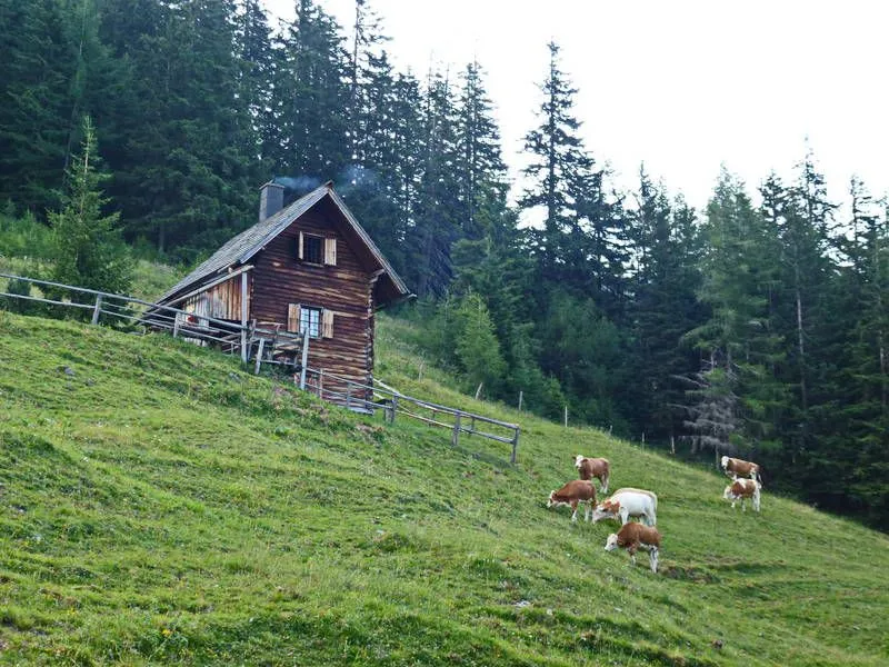 Field, Grassland, Nature, Outdoors, Cow, Countryside, Pasture, Rural, Housing, House