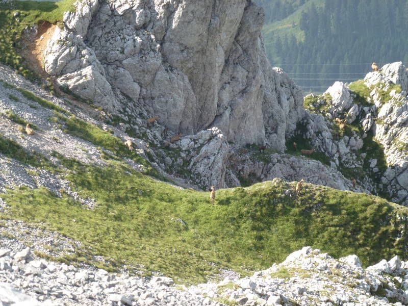 Bild enthält, Rock, Cliff, Nature, Outdoors, Wilderness, Mountain Range, Peak, Slope, Vegetation, Scenery