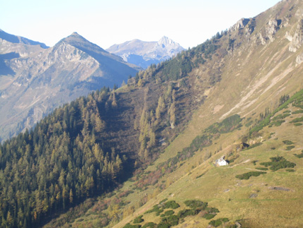 Bild enthält, Slope, Nature, Outdoors, Wilderness, Tree, Mountain, Mountain Range, Peak, Scenery, Fir