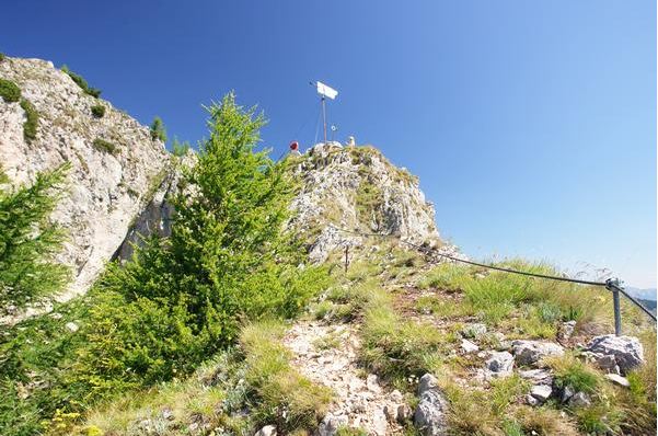 Bild enthält, Slope, Tree, Conifer, Vegetation, Cliff, Nature, Outdoors, Scenery, Rock, Wilderness