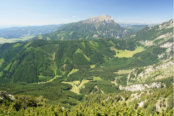 Bild enthält, Vegetation, Land, Nature, Outdoors, Tree, Woodland, Scenery, Mountain, Landscape, Mountain Range