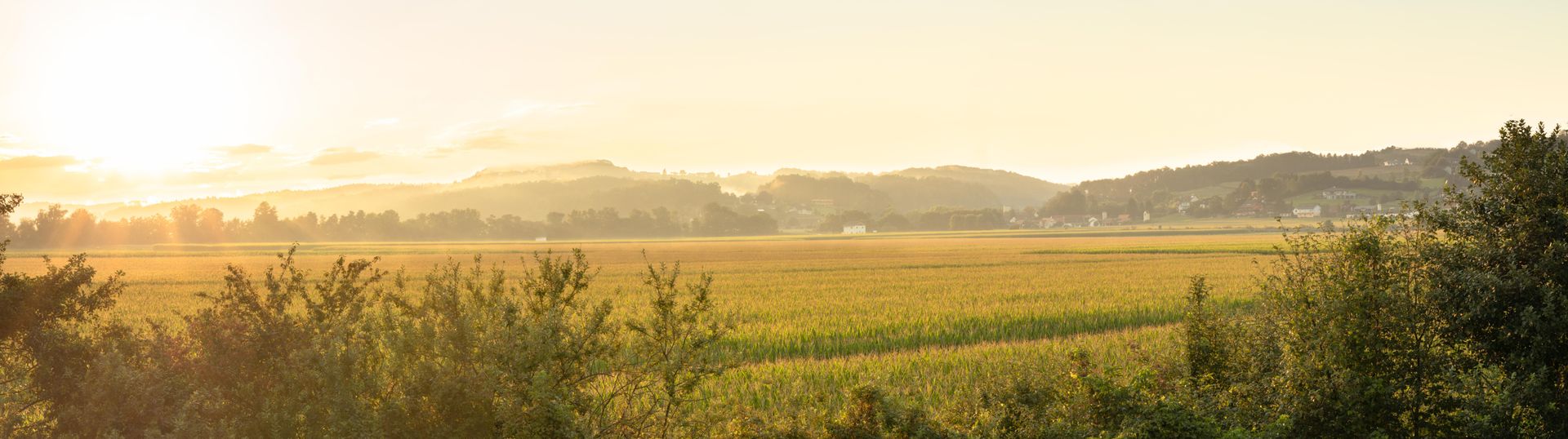 website banner