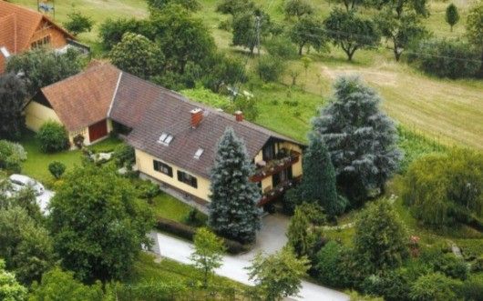 Ein Luftbild eines Hauses mit einem braunen Dach und gelben Wänden, umgeben von Bäumen und Gras. Ein Auto ist vor dem Haus geparkt.