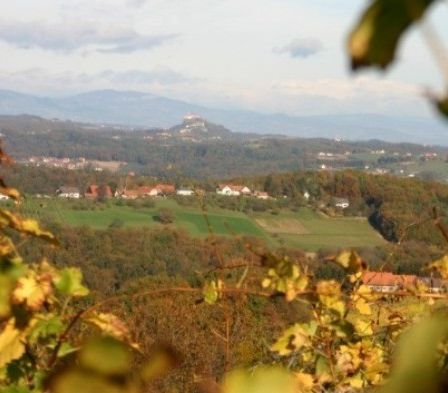 Ein Hügelblick auf eine ländliche Landschaft mit grünen Feldern, Häusern und Bergen unter einem bewölkten Himmel.
