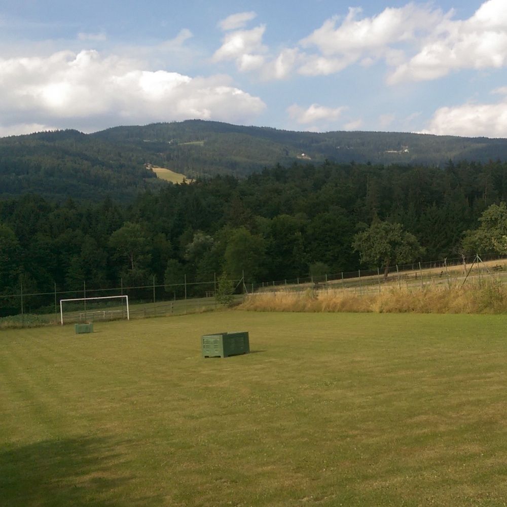 Ein Fußballplatz mit einem Netz in der Mitte, umgeben von einem Wald und Bergen im Hintergrund. Der Himmel ist blau mit weißen Wolken.