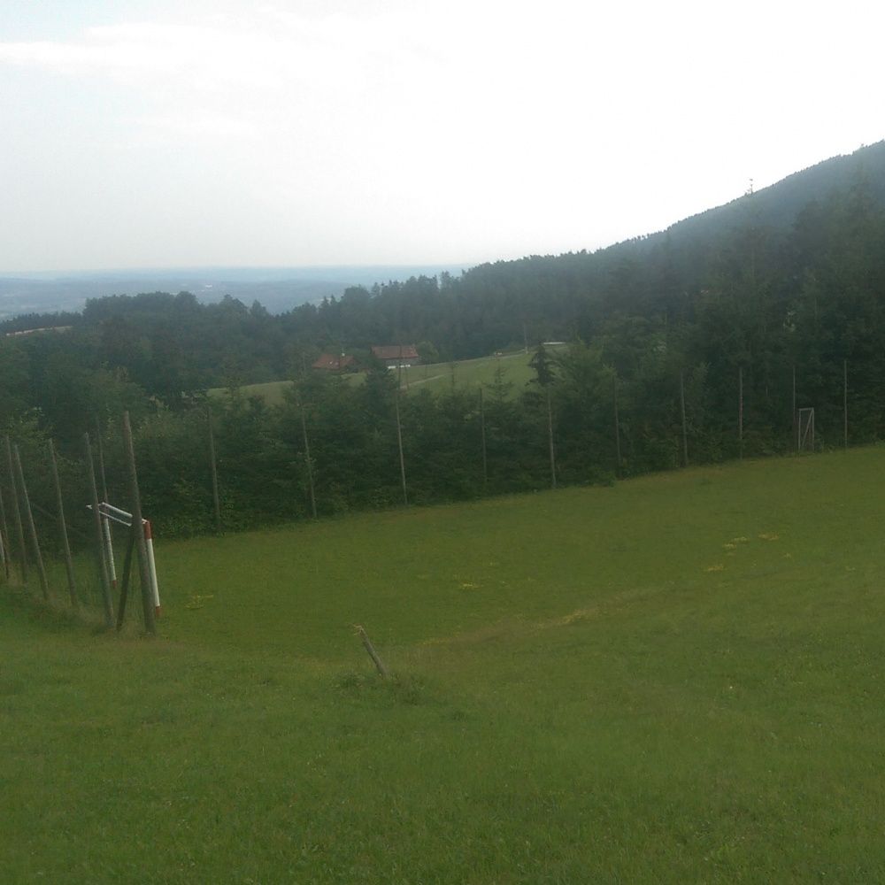 Eine ländliche Landschaft mit einem Grasfeld, einem Wald und einem Haus in der Ferne unter einem bewölkten Himmel.