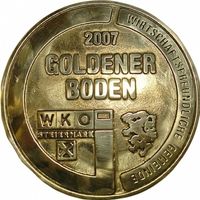 Eine goldene Medaille aus dem Jahr 2007 mit dem Namen Goldener Boden, mit einem Baumlogo, WKO und Steiermark-Logo und Text.