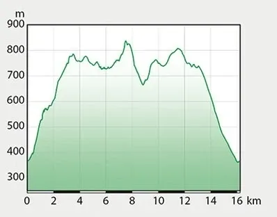 Das Diagramm zeigt Höhenänderungen über eine Distanz von 16 km. Es beginnt bei 300 m, steigt bis zu einem Gipfel von 800 m bei 8 km und fällt dann allmählich wieder auf 300 m ab.