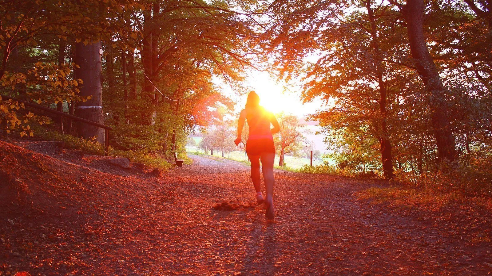 Eine Frau läuft auf einem Kiesweg durch einen Wald, die Sonnenstrahlen dringen durch die Bäume.