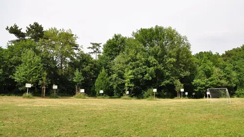 Ein breites Feld mit mehreren Bäumen und kleinen grünen Bäumen mit Schildern davor.