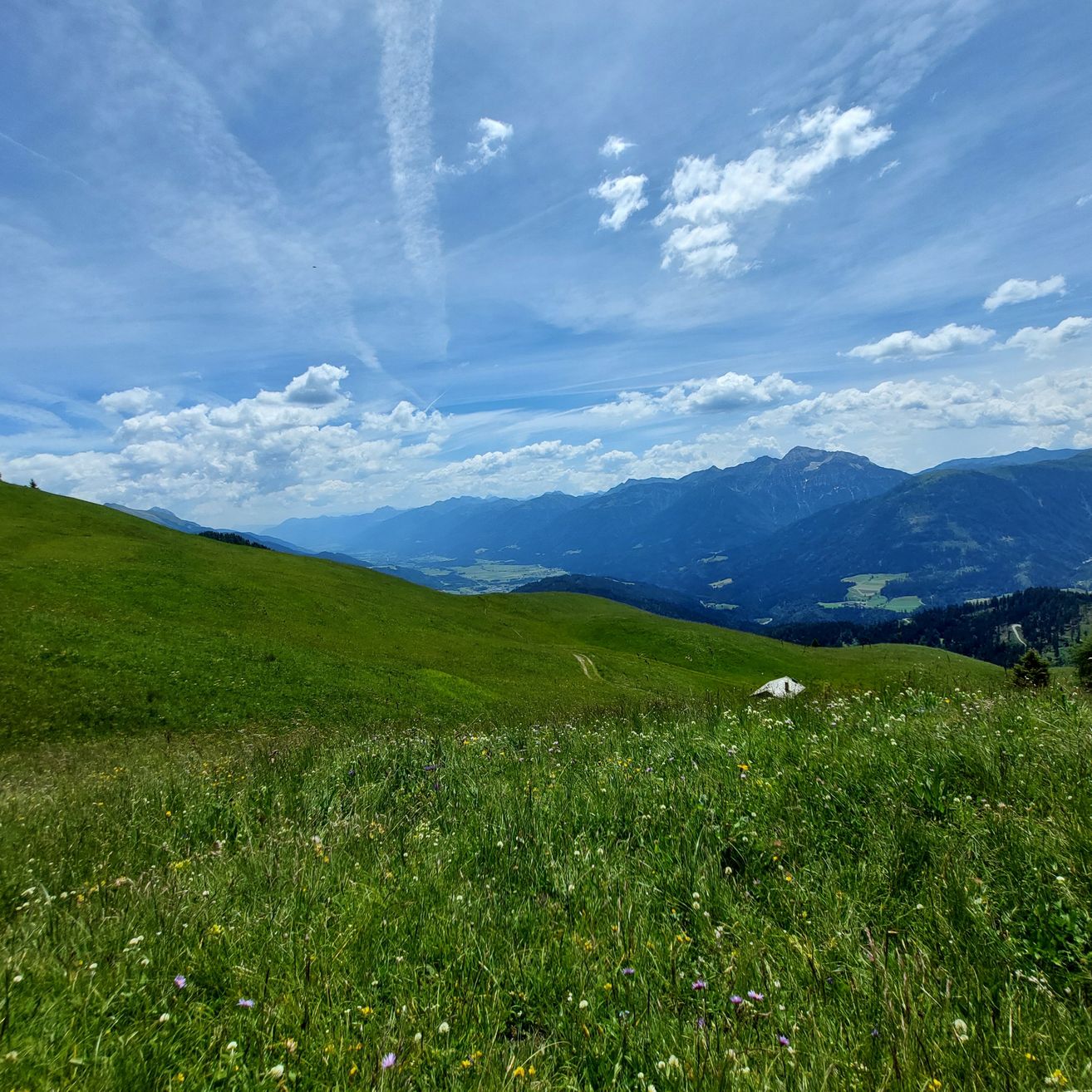Eine malerische Aussicht auf einen üppigen grünen Grashügel unter einem klaren blauen Himmel mit verstreuten Wolken und einer entfernten Bergkette.