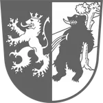 Animal, Bear, Mammal, Wildlife, Face, Head, Person, Armor